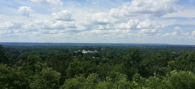 View from top of Iroquois park showing mostly trees but some buildings visible in the distance.